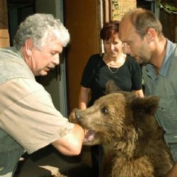 Nejstaršímu medvědovi v ZOO Plzeň je 32 let