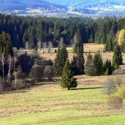 O voličské průkazy byl rekordní zájem, nápor čeká Šumava