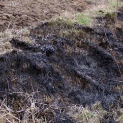 Ochránci žádají: Nevypalujte trávu, zabíjíte nejen zajíčky