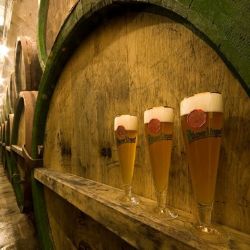 Páteční noc otevře kostely, muzea, podzemí i pivovar