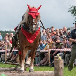Pec pod Čerchovem zve od pátku na Dřevorubecké slavnosti