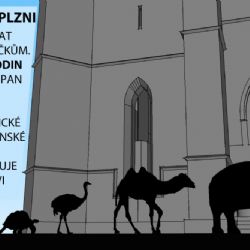 Plzeň bude v pátek žehnat zvířatům (nejen) ze svého znaku