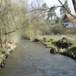 Plzeň chce dotaci na Božkovský ostrov