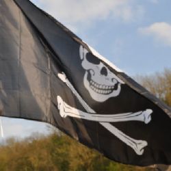 Pod pirátskou vlajkou