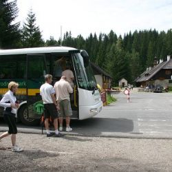 Prázdniny jsou tady. Šumavu brázdí Zelené autobusy 