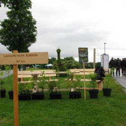 Pražské děti dostaly pozvánku na sázení stromů na Šumavě