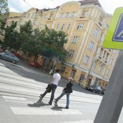 Při hlasování o přechodech se daří spíš menším obcím 