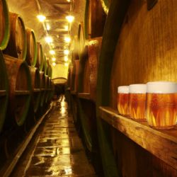 Prohlídková trasa Pilsner Urquell získala ocenění