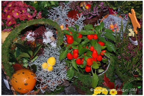 Foto: Pulty květinářství v Plzeňském kraji už plní dušičkové zboží