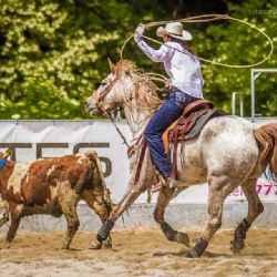 Ranč Halter Valley u Dnešic zve na víkendové rodeo