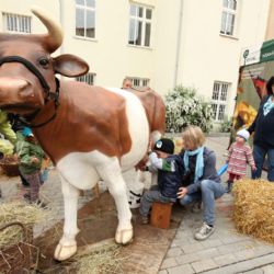 Regionální potravinou jsou tlačenka, koláče i mošt
