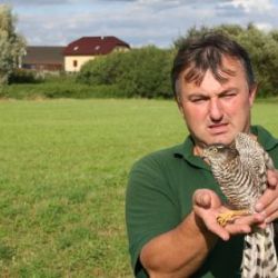 Rokycanští ochránci zvou na vycházky, zájezdy i soutěže 