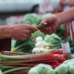 Sezona farmářských trhů v Plzni končí, naposledy v sobotu 