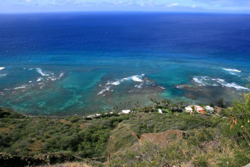 Foto: Studuj online na LIGS a leť na Hawaii!