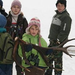 Šumava láká na zimní pozorování a krmení jelenů