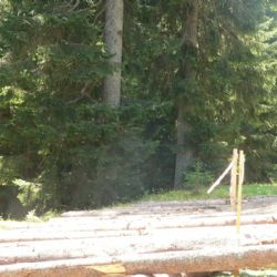Šumava skončila s chemií v boji proti kůrovci 