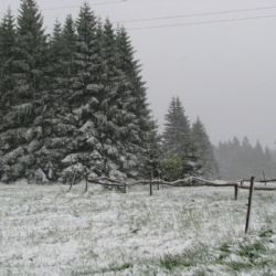Šumava zažívá nejstudenější konec května od roku 1991 