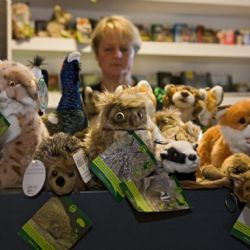 Šumavská informační střediska obsadili plyšáci 