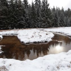 Šumavský potok Hučina už zase patří divoké přírodě