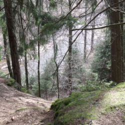 To nej ze severu Plzeňska a Rokycanska se představí v Plzni 