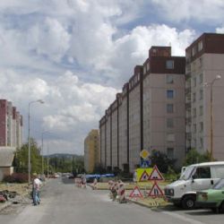 Plzeňačku na ulici přepadli dva mladíci