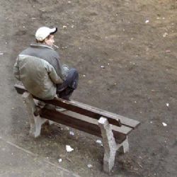V přeštickém parku zničil vandal lavičky
