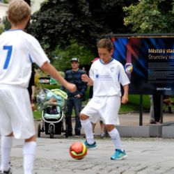 Výstava mapuje historii stadionu ve Štruncových sadech