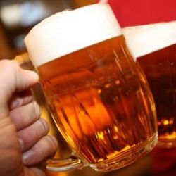 Výtržnice napadala lidi během oslav Majálesu