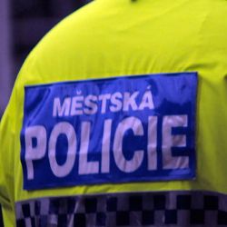 Z bývalého velitele Městské policie v Plzni je ředitel