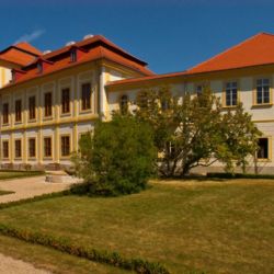 Zámek Svojšín láká v sobotu na bohatý program 