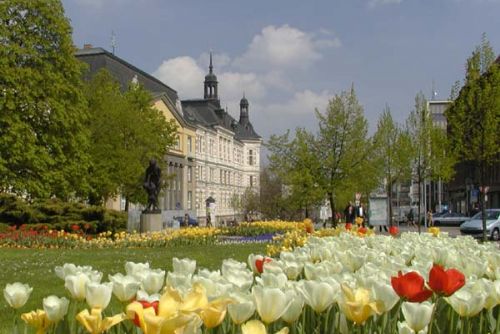 Foto: Centrální obvod Plzně vysadil 12 000 nových květin
