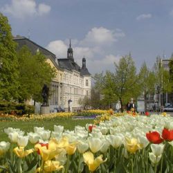 V plzeňských sadech vyroste Hyde Park