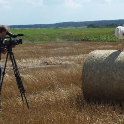 Zvířecí záchranáři z Plzně točí ´večerníčky´. První s čápem