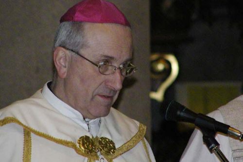 Foto: V Plzni se v sobotu ujme funkce nový biskup