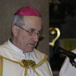 František Radkovský končí ve funkci plzeňského biskupa