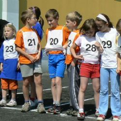 Celkem 9,2 milionu korun uvolní Plzeň na podporu sportu 