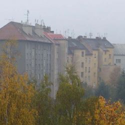 Od léta vzroste v Plzni nájemné 