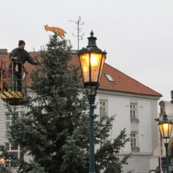 Doneste dřevěné ozdoby na pivovarský strom a vyhrajte pivo  