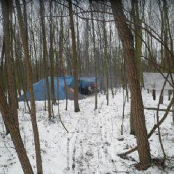 Dvojice se usídlila pod Homolkou