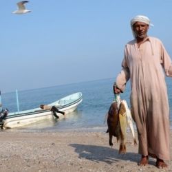 Festival arabské kultury se v Plzni představí již popáté