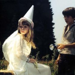 Filmovým nocím v lochotínském amfiteátru počasí přeje