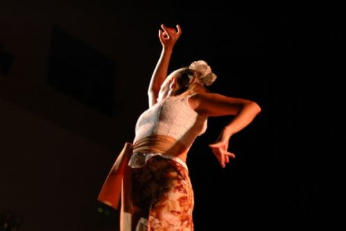 Foto: Flamenco, film, jídlo. V Plzni ve středu startuje Mediterránea
