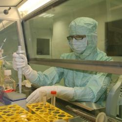 FN Plzeň zavedla novou léčbu po transplantaci kostní dřeně