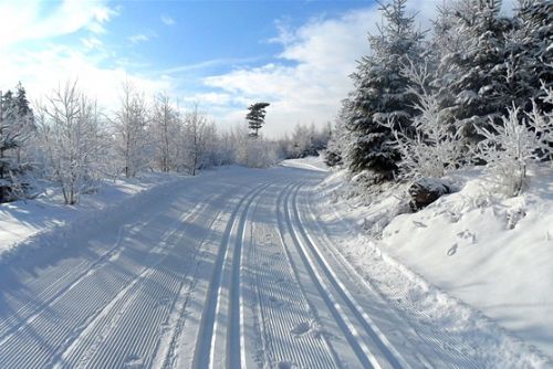 Foto: Šumavské obce mohou získat dotace na úpravu lyžařských stop