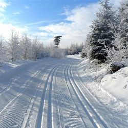 Obce na Šumavě a v Českém lese dostanou peníze na stopy