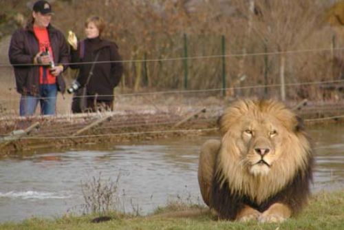 Foto: Zoo Plzeň požádá o miliony na chov ohrožených druhů