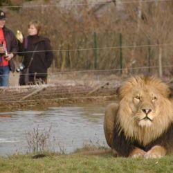 Plzeňskou zoo i loni navštívilo přes 400 tisíc lidí