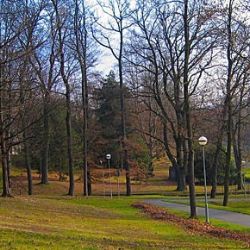 Lochotínský park se dočká obnovy