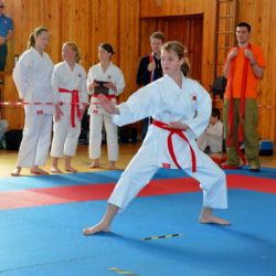 Chodský pohár v karate přinesl mládeži Naramy úspěchy