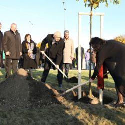 Na Folmavě zasadili při výročí pádu železné opony stromy